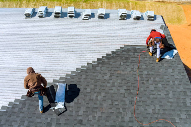 Best Roof Gutter Cleaning  in Marillo, CA